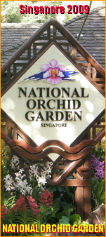 VK|[]The National Orchid Garden